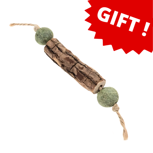 Catnip Tooth Cleaning Stick (Mystery Gift)
