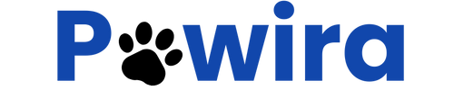 chrome-logo-5817bdcb.png